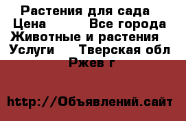 Растения для сада › Цена ­ 200 - Все города Животные и растения » Услуги   . Тверская обл.,Ржев г.